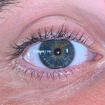 WolfViking1992's profile picture. IT System Administrator . kikimora_92 on instagram. Basketball and motorsport enthusiast. I have a cat. Lakers,Napoli and Ravens fan