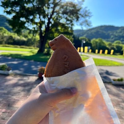 mmm_ringo's profile picture. 夏は山⛰️冬は湯♨️に出没するらしい