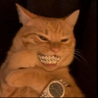 ❥₊˚ https://t.co/TU4ka4eSkJ ♡ twitch partner 🩸✦ yandere ghoulcat vtuber ≽^•⩊•^≼ ミ★ 愛してる🔪 @GamersSupps code NEMI ⋆𖤐⋆ #nemigART 💌 ˗ˏˋ nemigamivt@gmail.com ˎˊ˗