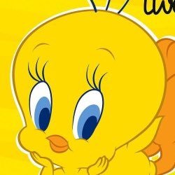@bonbon_aube