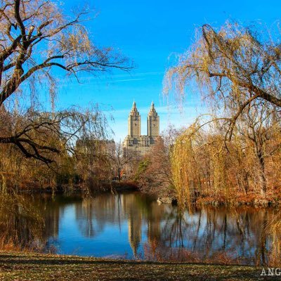 gatitarevulera's profile picture. Donulay ♥️BayYanlis OzgerGurel CanYaman ♥️A&I de Jeancarlos Canela (Monica Spear RIP)🖤Hande kerem