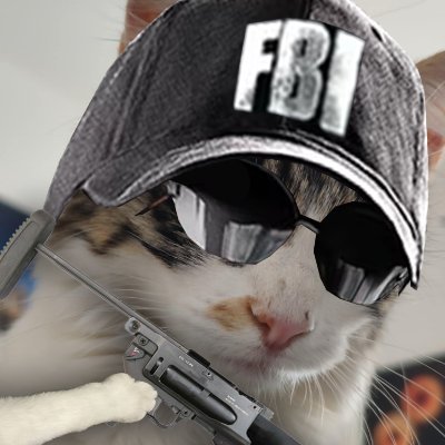 🔫 R6 pewpew player for @SpectraEU
dark twin @SopraR6S
2 frères 2 fraudes @KaLTouu