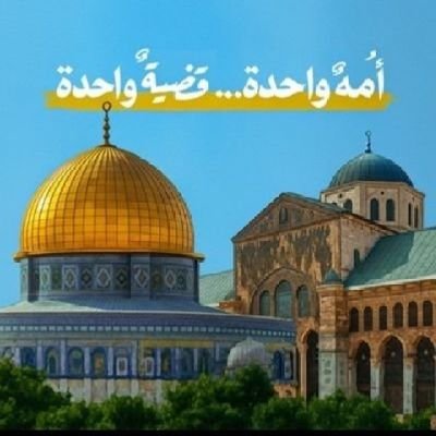 mahr55183996's profile picture. 