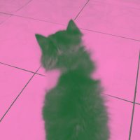 rosy (@rosettarie) 's Twitter Profile