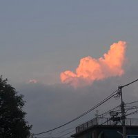 ゆき (@broyuki0109) 's Twitter Profile