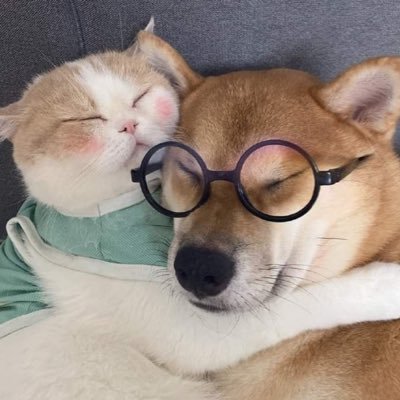 thetingniverse's profile picture. 