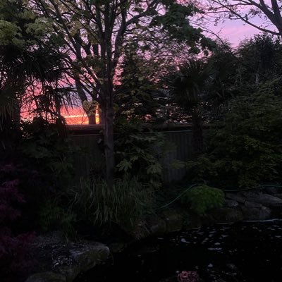 p0rcelainbaby's profile picture. 