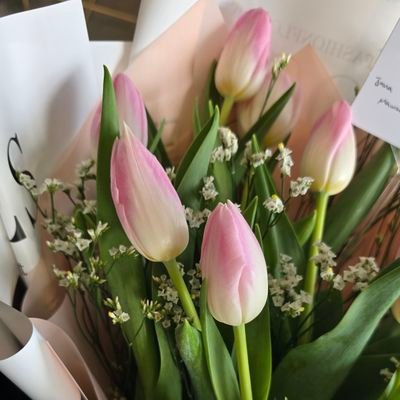 MA_ALMG95's profile picture. 