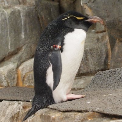 .さんのプロフィール画像