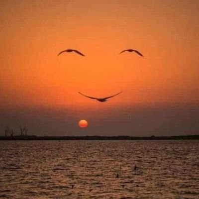 kiouzprod's profile picture. Tout ce qui nous passe par la tête
