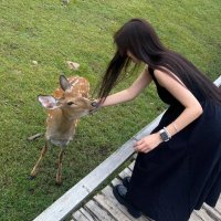 Fiona Goh (@geoffreymcniel) 's Twitter Profile