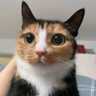 @5teven_