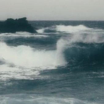 permafrostcha's profile picture. 🥶