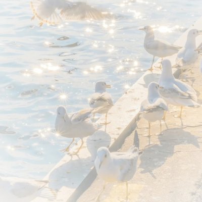 Satametk's profile picture. 投資とは、単に価格の上昇を追いかけたり、下落局面でパニックに陥ったりすることではありません。トレンドとその背後にあるロジックを理解することが重要なのです。
私は仕事で日本に行ったことがあり

私は、市場に関する洞察、投資哲学、そして実践的な取引経験を共有します。冷静な投資姿勢を維持し、情報に基づいた判断を下しましょう。