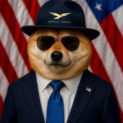 KTays98003's profile picture. Official $DogeWLFI Coin