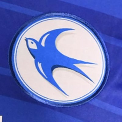 Cardiff City FC fan page | Updates, thoughts & respectful discussion | Not ITK, just here for the Bluebirds 💙 #CityAsOne