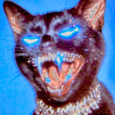 Help Me Become The First Funded Millionaire All It Take’s Is 1 Million People to Donate $1 #FuckTheMatrix