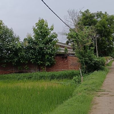 Aman122536's profile picture. Cripto airdrop farmer