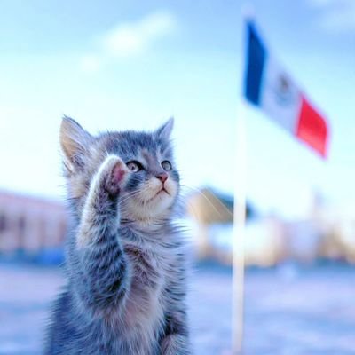 UN DÍA A LA VEZ, SIN AYERES NI MAÑANAS... SÓLO UN DÍA A LA VEZ.