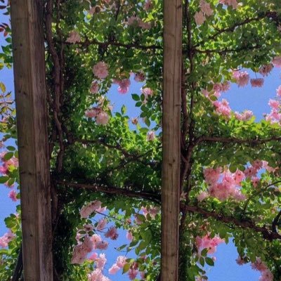 wslaa_'s profile picture. 