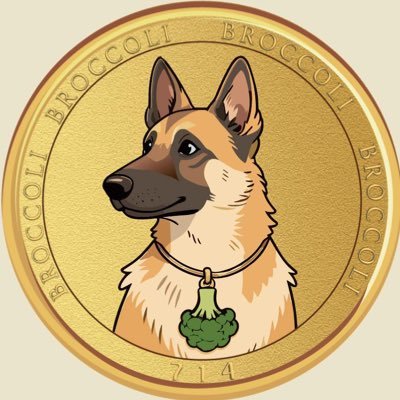 BroccoliFND's profile picture. 