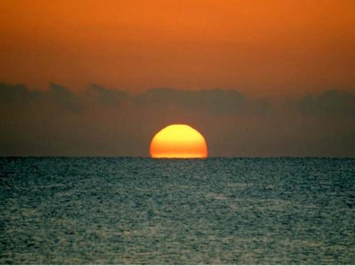 jorgeelizalder's profile picture. 