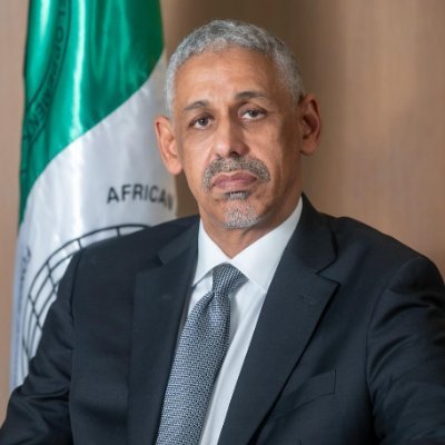 AfDB President Profile