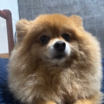 0Macdo's profile picture. just a degen