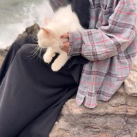 مجهولة🖤💫 (@t55ay) 's Twitter Profile