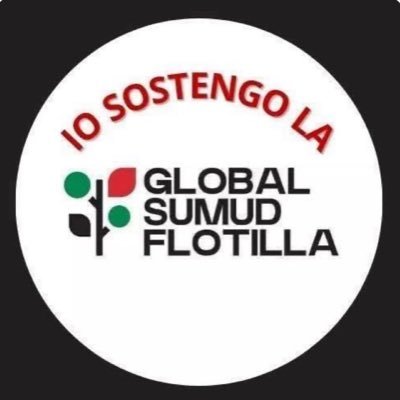 Antifascista #iostoconmimmo #stopalgenocidio tifoso viola 💜💜💜