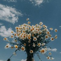 乡مها乡𝕄𝔸ℍ𝔸 (@missmaha45) 's Twitter Profile Photo