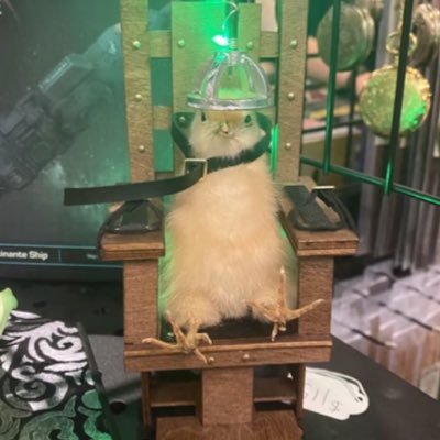 paige_me0wster's profile picture. screenwriter, filmmaker, game-changer, JESTER (she/her)