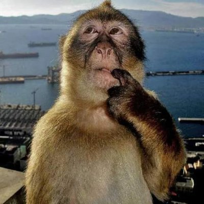 pryvtmonke's profile picture. anyone else taking ochem