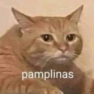 Mitsucaptor's profile picture. secret problematic twt ( ͡° ͜ʖ ͡°) // A wild personal has appeared. Ocasional NSFW. 🔞