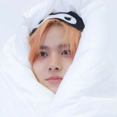 certified moonstruck lover ・ . ݁⋆ ۶ৎ ݁˖ . ݁ enha fan account ৻ꪆ #정원 #희승 #니키