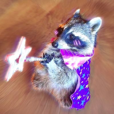 luniraccoonie's profile picture. || i am the raccoon in your garage ||  ~ she/they♡ ~ dms open! ⠀ ⠀ ⠀ ⠀ ⠀ ⠀ ⠀ ⠀ ⠀ ⠀ ⠀ ⠀ ⠀ ⠀ ⠀ ⠀ ⠀ ⠀ ───── ⋆⋅☆⋅⋆ ─────