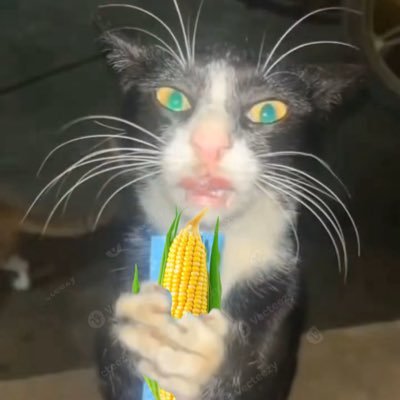 I love three things in this world: My girlfriend, corn, and atmospheric black metal