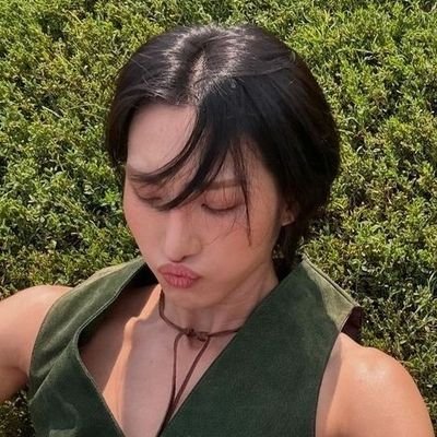 hwastudie's profile picture. estudando para concursos