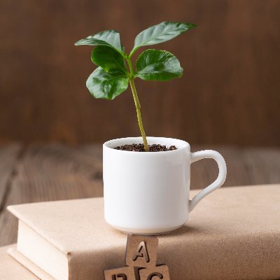 VeuEducativa's profile picture. 