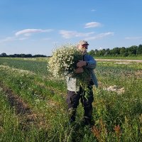 Michael Kalisch, Diplombiologe (@michaelkalisch) 's Twitter Profile Photo Michael Kalisch, Diplombiologe (@michaelkalisch) 's Twitter Profile Photo