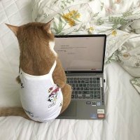 りん🌼 (@lin0224) 's Twitter Profile Photo