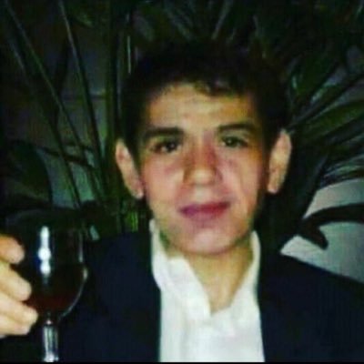 ırkım Fatih Terim dilim Terimçe ülkem Terimistan yaşasın Terimciler ölümüne Terim