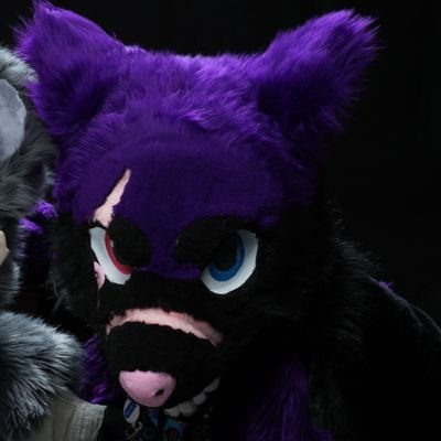 Suiter for Mae the Skullwolf (silent) and Caloosa the Skullshark. (semi-silent)
Female she/her, taken, always tired. say hi if you see me!