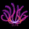 Crinoidea_hk's profile picture. 大学の技術職員。元水族館の職員。細々と棘皮動物の研究（特にウミシダ類やウニ類）を行っています。相模湾を中心に海の生き物の写真をアップしていきます。つぶやきはすべて私的な見解で、所属組織に関係ありません。