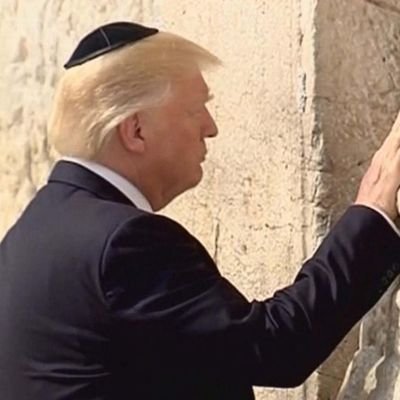 moarcoffeee's profile picture. Multicoiner #Bitcoin $ETH $SOL - I have limited patience for maxis