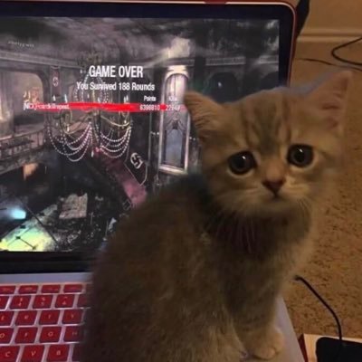 Natezera_EXE's profile picture. i like osu