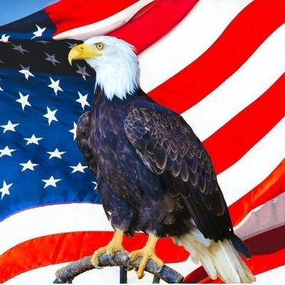America First | Absolutely NO Woke | God is Good
Mission: 🚨End Vote By Mail
🚨Fire Tina Kotek 🇺🇲Long Live The Republic