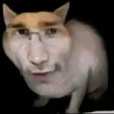 perfil monitorado pela patrícia taylor (patixa teló)