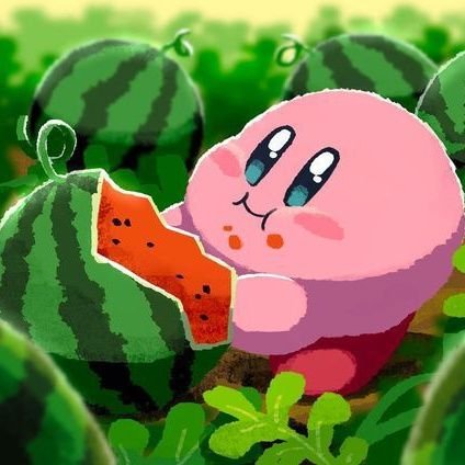 kameowka's profile picture. 🏐 & a bit of everything