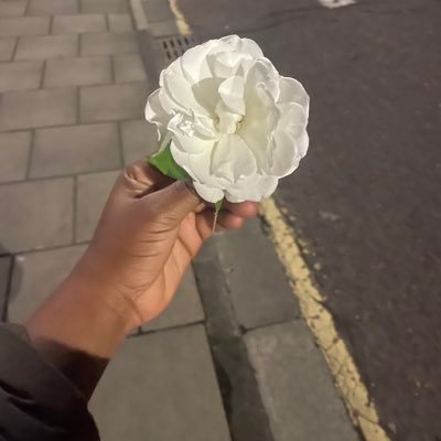 NextaRose's profile picture. My heart aches a lot